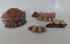 DENTIER Très ancienne