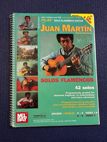 Play solo flamenco guitar with - guitar,