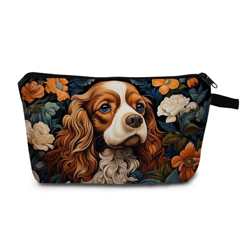 Cavalier king charles spaniel - king,