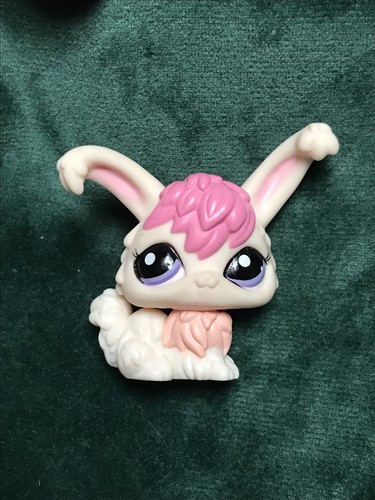 Petshop lapin angora - lapin,