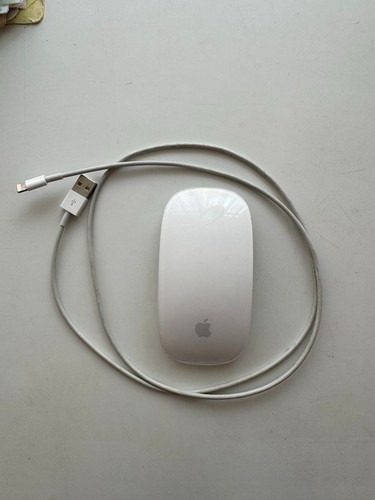 Souris apple magic mouse - apple,