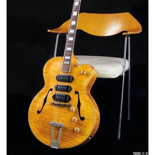 Electric guitar bone walker - t-bone,
