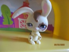 Petshop Garenne Rabbit #582 / With Magnet