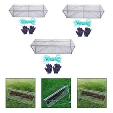 Field Snails Cage River Snails