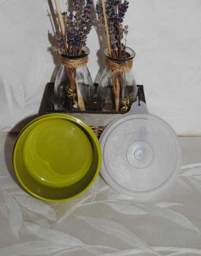 Tupperware petit ravier - petit,