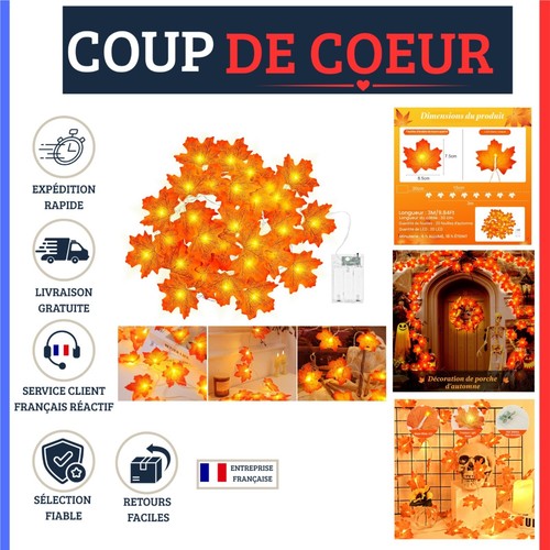 Guirlande lumineuse automne - , 3