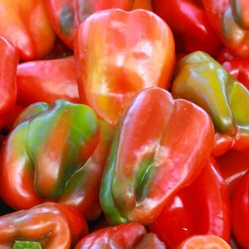 Poivron doux d - 🌶️, d'espagne
