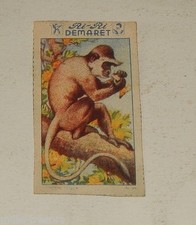 Image CHROMO RI-RI DEMARET 