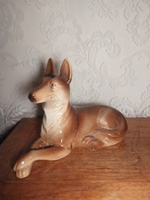 Chien Berger Allemand