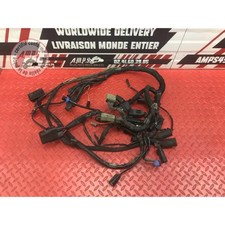 Faisceau électrique principale Harley-Davidson XL 883 R Sportster 2001 à 2015