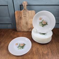 Lot de 12 assiettes Arcopal