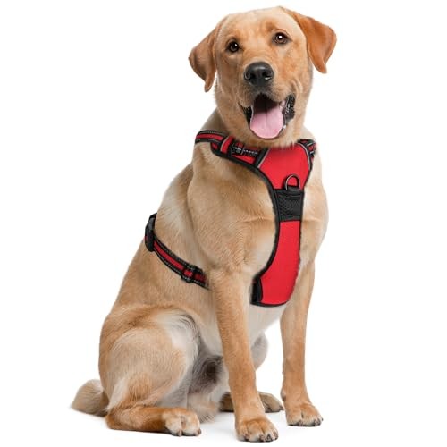 Harnais pour chiens - pour, taille