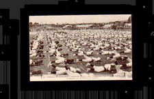 Old postcard Concours gymnastique d'Ancenis 44 Loire Atlantique 1912 music la loetitia