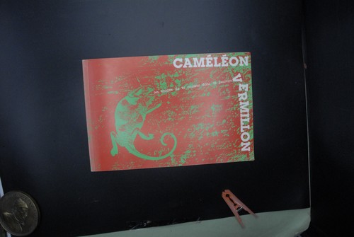 Caméléon vermillon les - camÉlÉon,