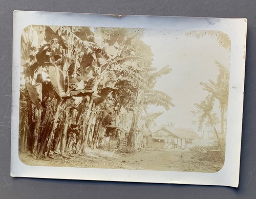 Photo ancienne albumine 1904 - photo,