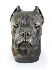 Cane Corso Grand Tête En