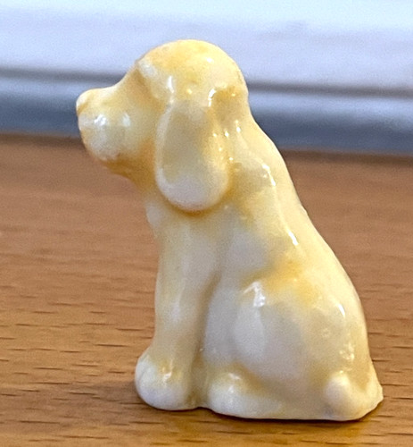 Jolie fève chien jaune - chien,