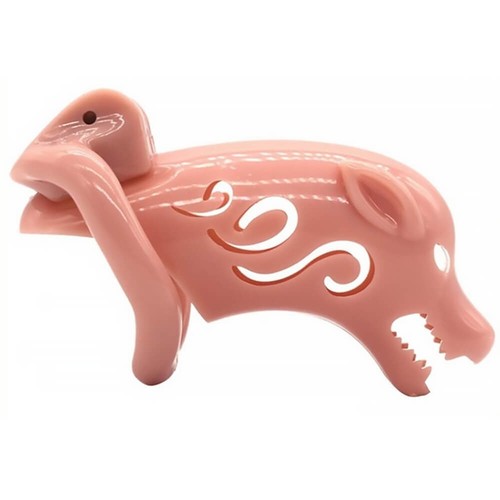Cage chasteté homme pig - cage,