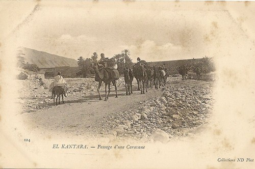 Carte postale afrique algerie - carte,