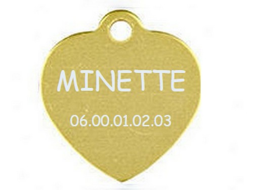Medaille gravee chien chat - ou,