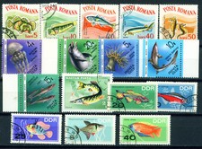 Fauna Fish Marine East Europe