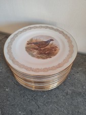 12 Limoges Flat Plates. Vintage Porcelain Bird Pattern