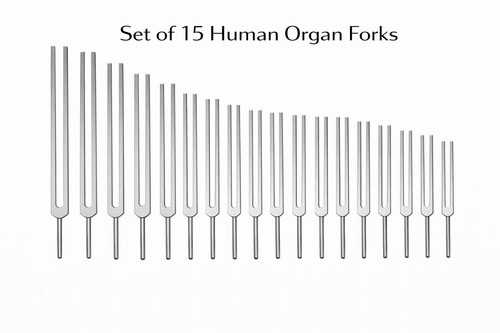 Humain orgue tuning - humain,