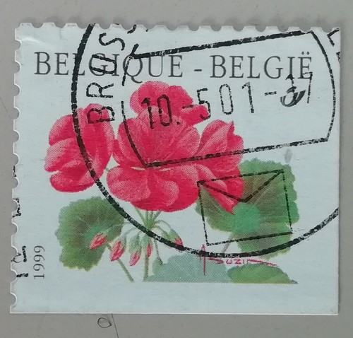 Timbre belgique belgie fleur - belgique,
