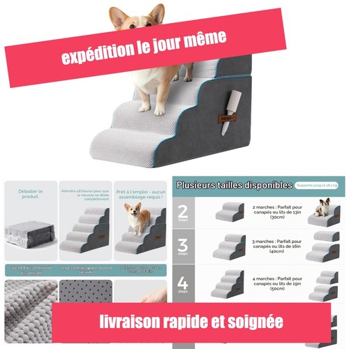 Escalier rampe chien lit