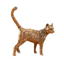 Chat persan miniature en