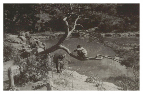 Japon tokyo enfants - au, parc