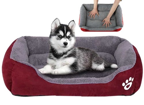Lit pour chien - -, et