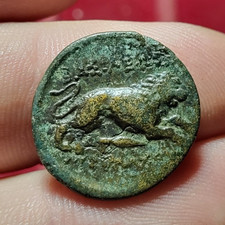 #98-5 ~ LYSIMAQUE / LYSIMACHIA