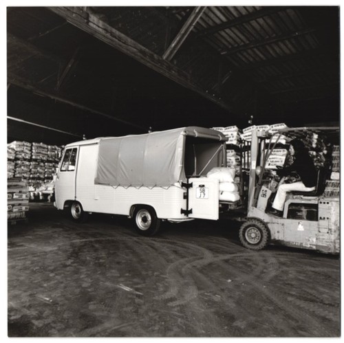 Photographie voiture peugeot - voiture,