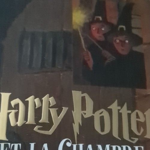 Harry potter livre - potter,