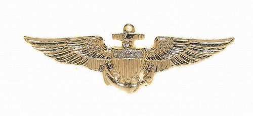 Insigne brevet pilote - insigne, aviateur