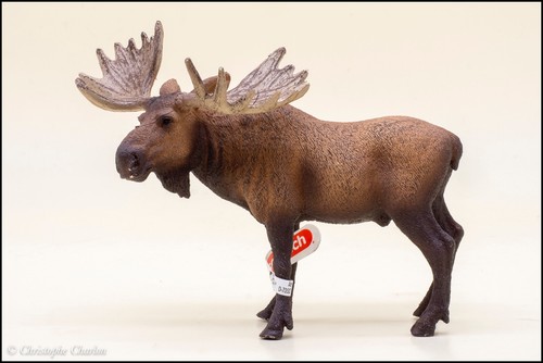 Schleich 14781 elan avec - 14781,