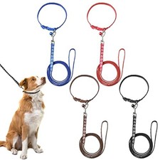 Lot de 4 colliers pour chiot