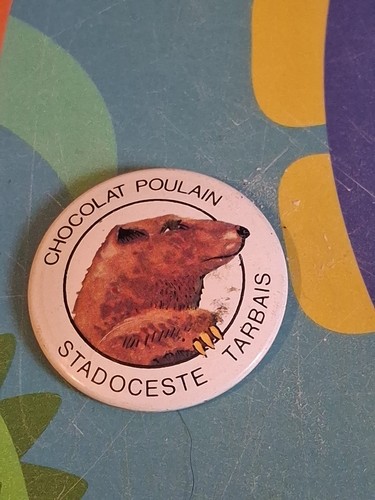 Vintage badge tole annee - vintage, 60