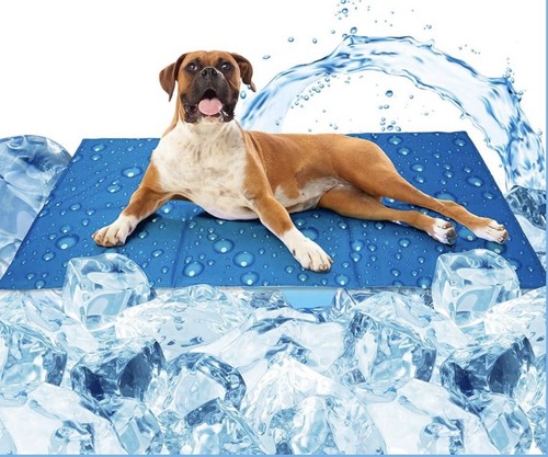 Tapis rafraîchissant chien - tapis,