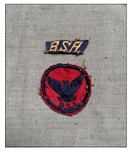Insignes boy scout scoutisme - insignes,