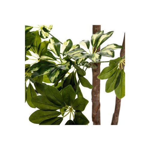 Plante artificielle - plante,