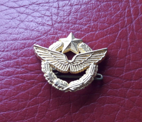 Pilote chasse etoile ailes - pilote,
