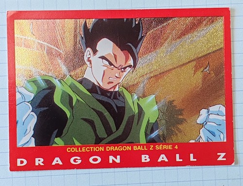 Carte dragon ball panini - dragon,