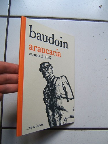 Baudoin araucaria l - araucaria,
