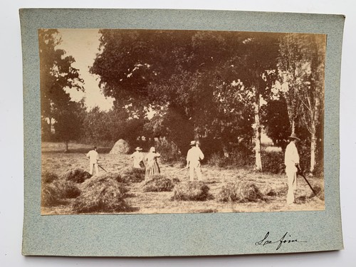 Photo albumine travail - photo,