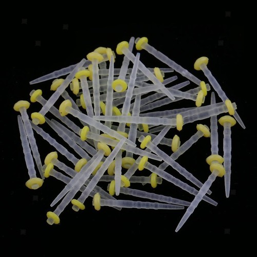 Pièces fibre dentaire - 50,