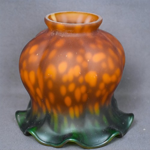 Tulipe verre teinté - tulipe,