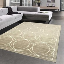 Tapis Oriental pour intérieur