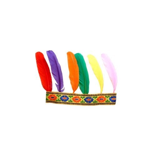 Bandeau indien plumes - indien, 6